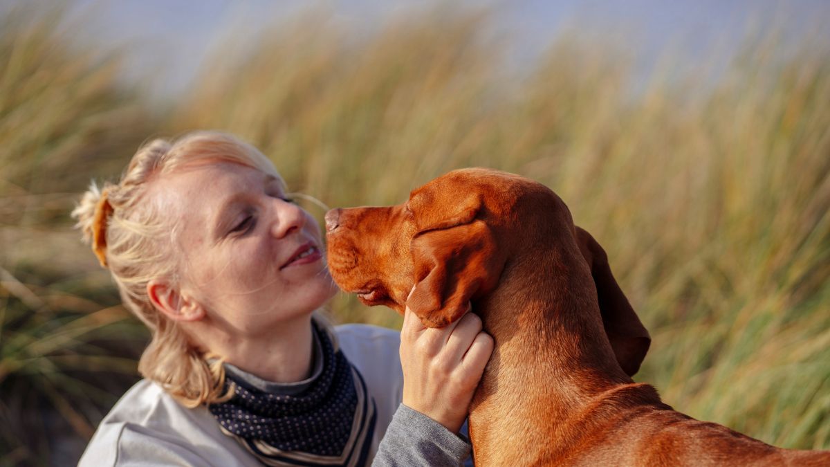 Linguagem do Amor dos Animais