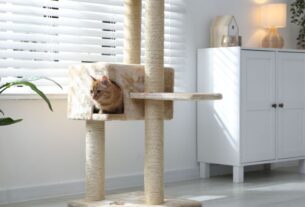Pet em Apartamento