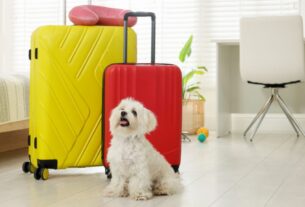 Viagem com pet