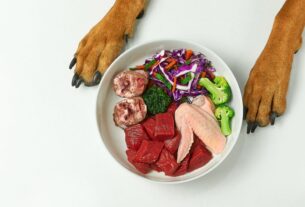 Alimentação Natural para Cães