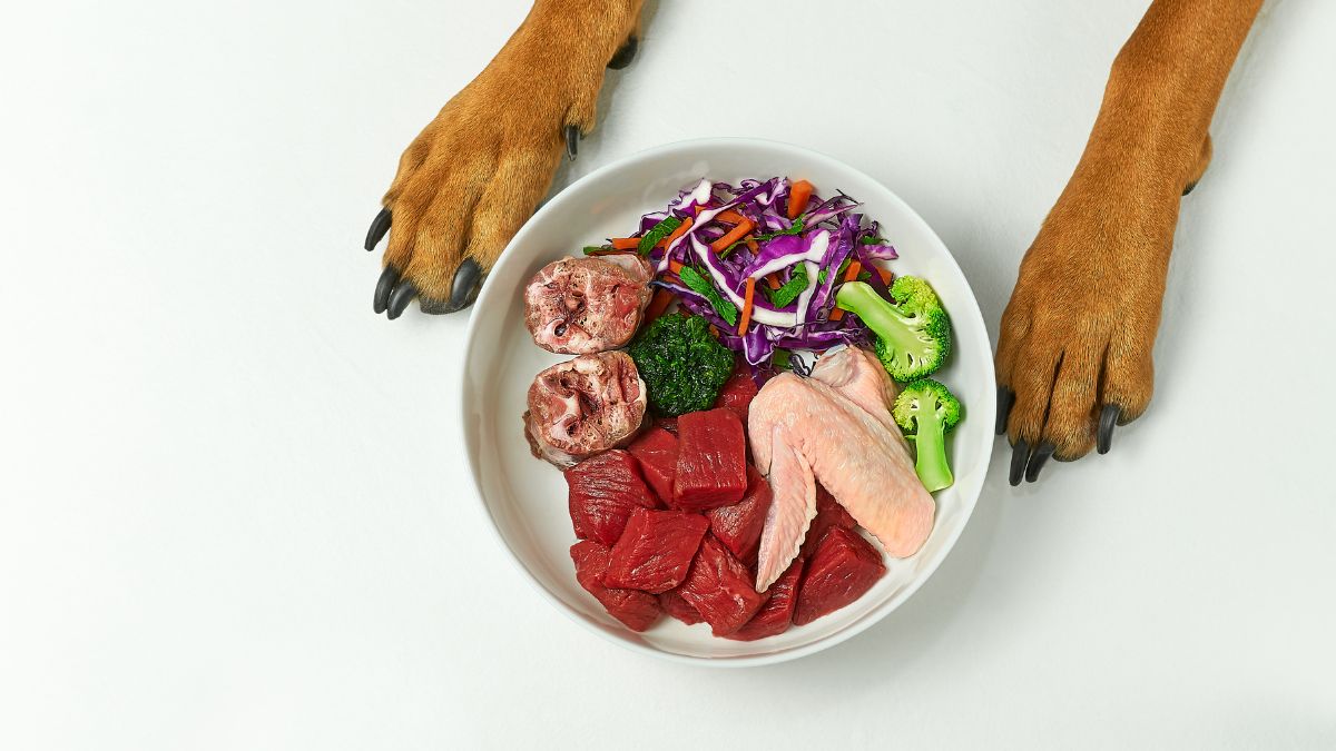Alimentação Natural para Cães