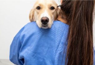 Cinomose canina