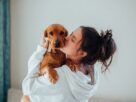 leishmaniose visceral canina