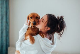 leishmaniose visceral canina