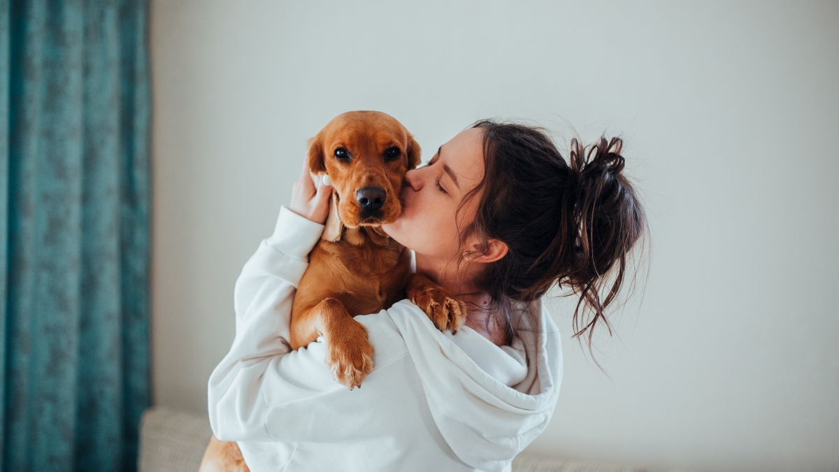 leishmaniose visceral canina