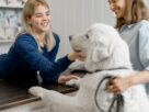 Bom atendimento ao cliente em clínica veterinária