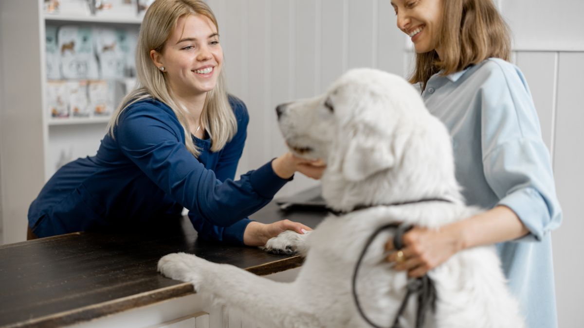 Bom atendimento ao cliente em cl&iacute;nica veterin&aacute;ria