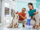 Satisfação do cliente na veterinária