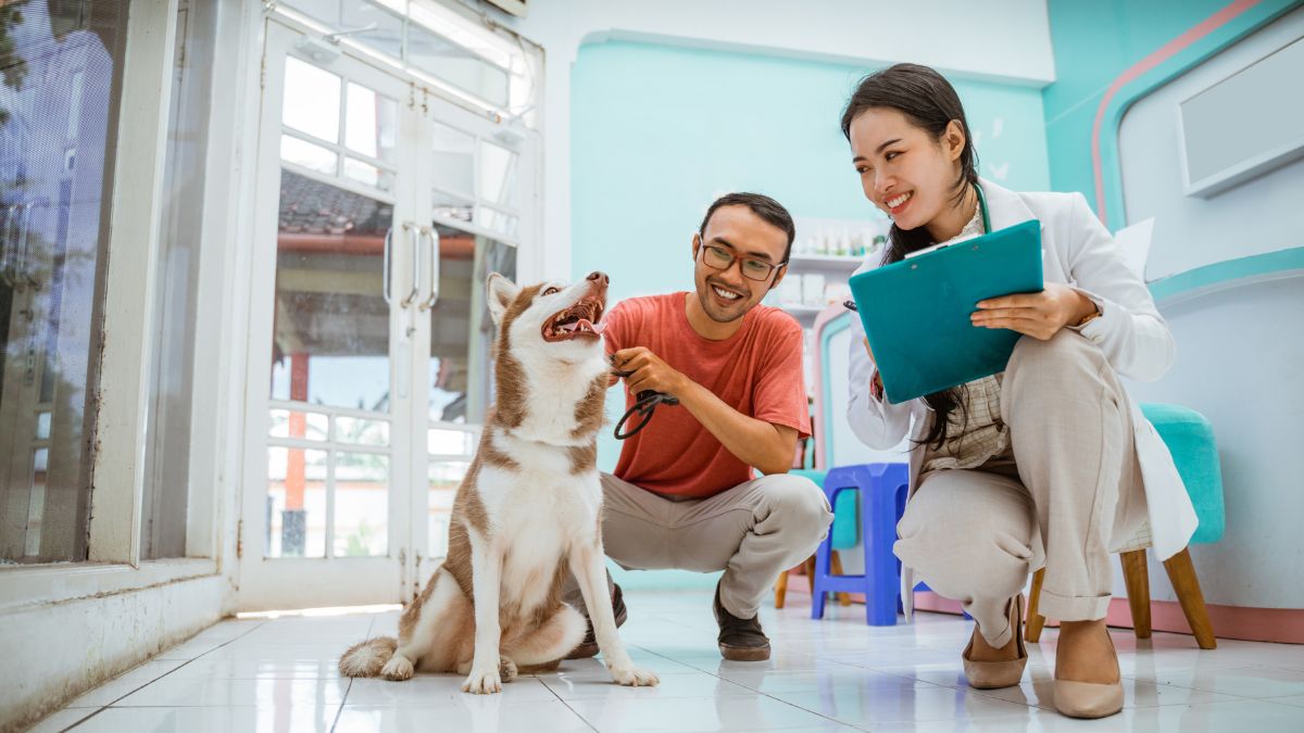 Satisfa&ccedil;&atilde;o do cliente na veterin&aacute;ria