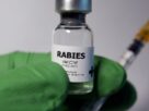 Sorologia da raiva em pets