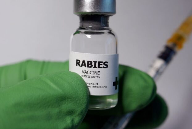 Sorologia da raiva em pets