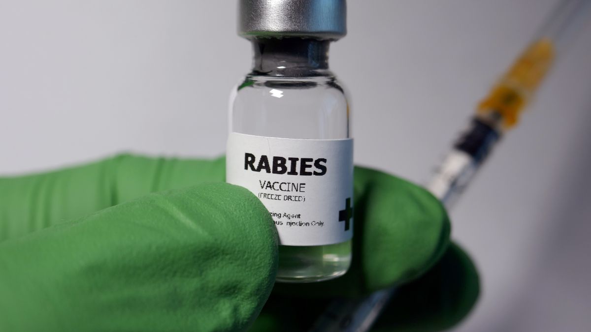 Frasco com a inscrição rabies junto a uma seringa. Sorologia da raiva em pets.